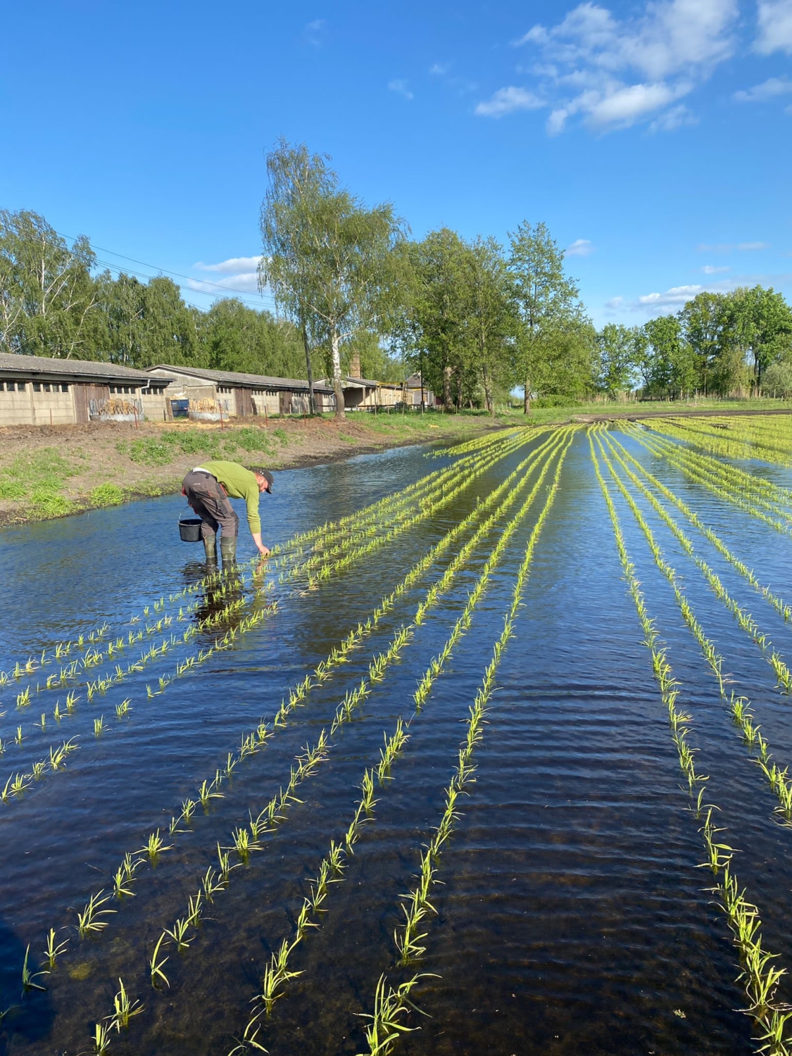 Green Innovator 2023