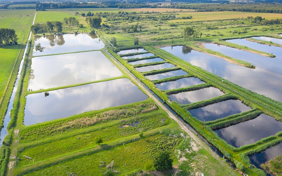 Abfischen… ein freudiges Ereignis für Viele